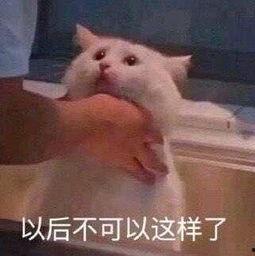 朝阳吃瓜群众一枚